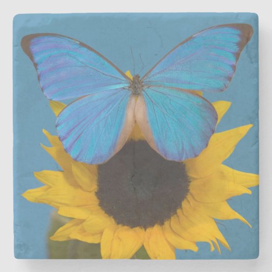 Schmetterling auf Sonnenblume Steinuntersetzer (Vorderseite)
