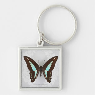 Schmetterling auf Tapetenhintergrund Schlüsselanhänger