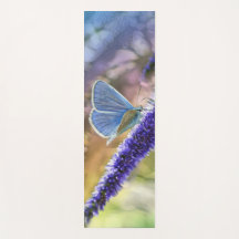 Schmetterling auf violetten Blumen