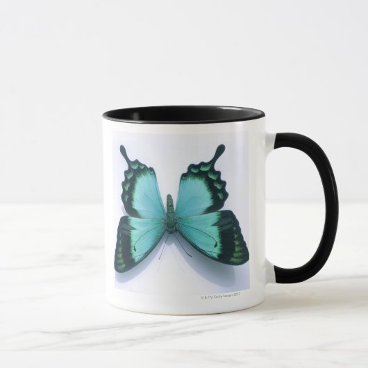 Schmetterling auf Weiß Tasse (Rechts)