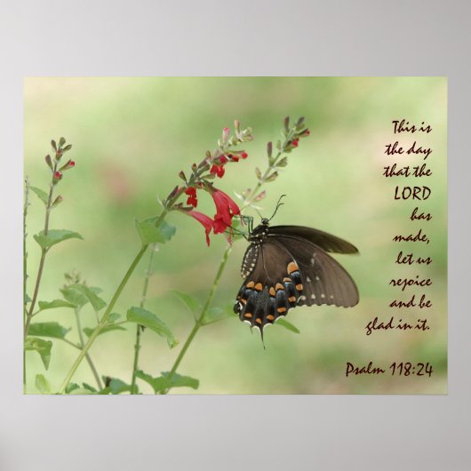 Schmetterling auf Wildblume, mit Psalm 118:24 Poster (Vorne)