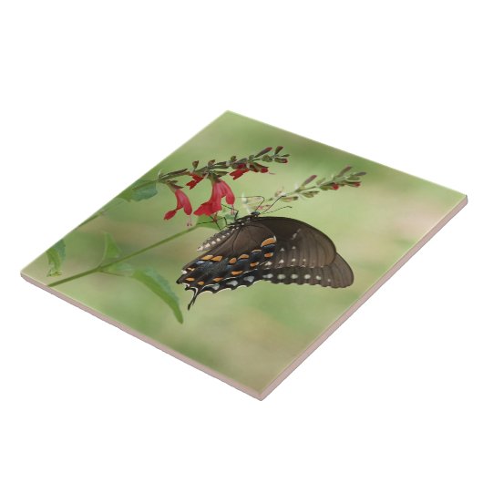 Schmetterling auf Wildblumen Fliese (Seite)