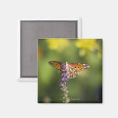 Schmetterling auf Wildblumen Magnet (Vorderseite/Rückseite)