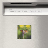Schmetterling auf Wildblumen Magnet (In Situ (Geschirrspüler))