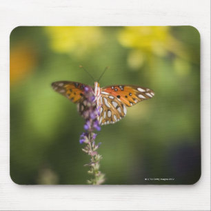 Schmetterling auf Wildblumen Mousepad