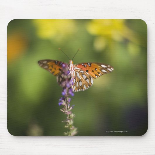 Schmetterling auf Wildblumen Mousepad (Vorne)