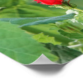 Schmetterling auf Wildblumen, Scripting Verse Post Poster (Ecke)