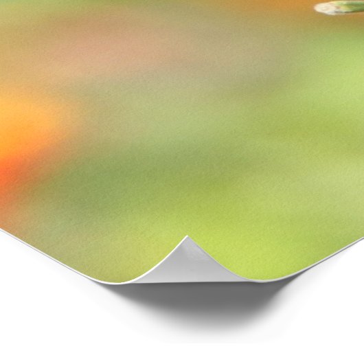 Schmetterling auf Wildblumen, Scripting Verse Poster (Ecke)