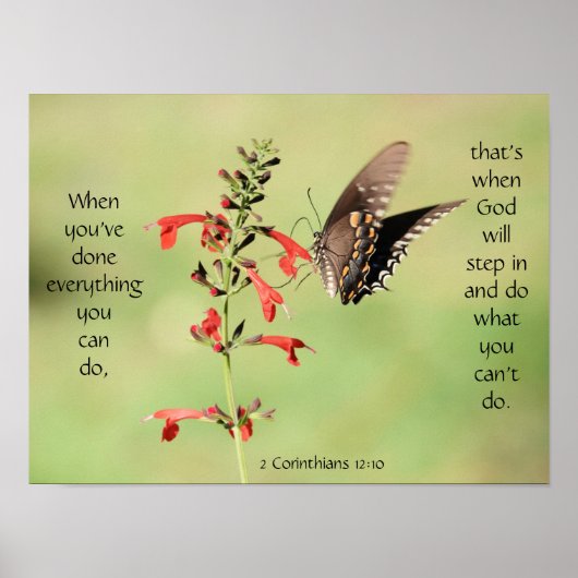 Schmetterling auf Wildblumen, Scripting Verse Poster (Vorne)