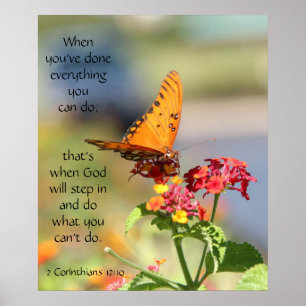 Schmetterling auf Wildblumen, Scripting Verse Poster