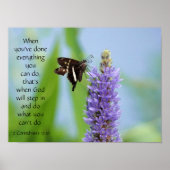 Schmetterling auf Wildblumen, Scripting Verse Poster (Vorne)