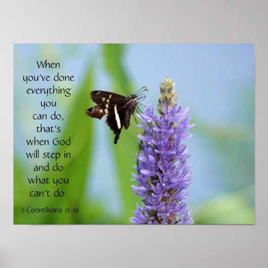 Schmetterling auf Wildblumen, Scripting Verse Poster (Vorne)