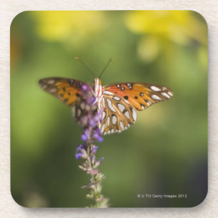 Schmetterling auf Wildblumen Untersetzer