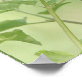 Schmetterling auf Wildblumen, Verse Römer 12:12 Poster (Ecke)