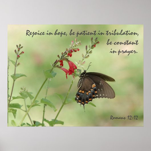 Schmetterling auf Wildblumen, Verse Römer 12:12 Poster (Vorne)