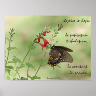 Schmetterling auf Wildblumen, Verse Römer 12:12 Poster
