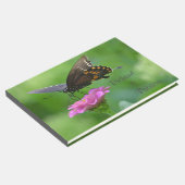 Schmetterling auf Zinnia Gästebuch (Ecke)