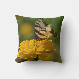 Schmetterling auf Zinnia Kissen
