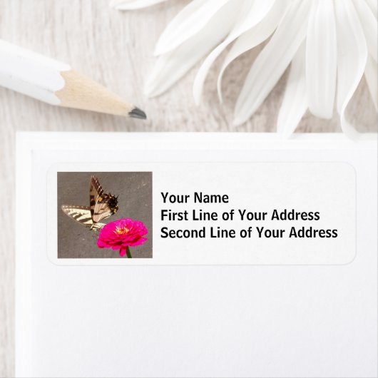 Schmetterling auf Zinnia mit Straßenbelag im Hinte (Insitu)