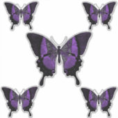 Schmetterling Aufkleber (Vorderseite)