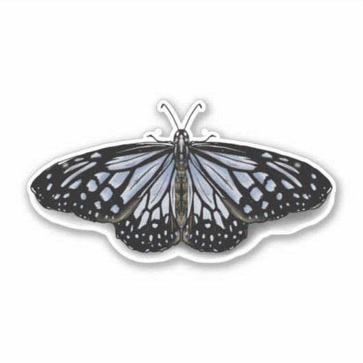 Schmetterling Aufkleber (Vorderseite)