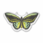 Schmetterling Aufkleber (Vorderseite)