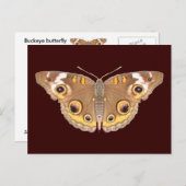 Schmetterling aus dem Auge ~ Postkarte (Vorne/Hinten)