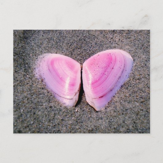 Schmetterling aus Muscheln Postkarte (Vorderseite)
