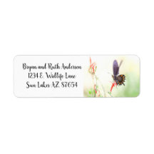 Schmetterling aus Pipevine Frack im Nachmittagsleb