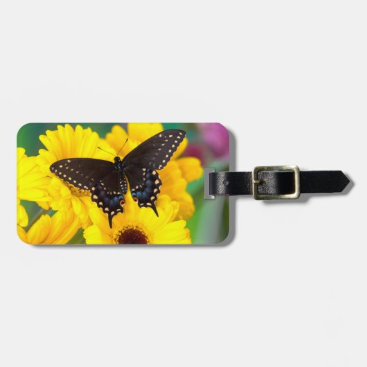 Schmetterling aus schwarzem Frack Gepäckanhänger (Vorderseite horizontal)