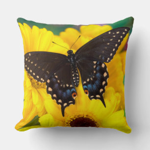 Schmetterling aus schwarzem Frack Kissen