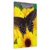 Schmetterling aus schwarzem Frack Klemmbrett (Rechts)