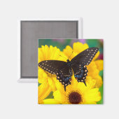 Schmetterling aus schwarzem Frack Magnet (Vorderseite/Rückseite)