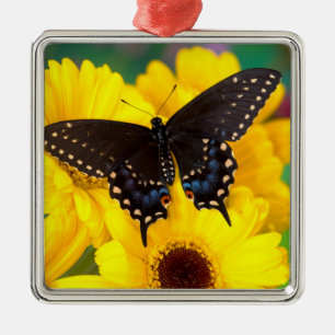 Schmetterling aus schwarzem Frack Ornament Aus Metall