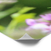 Schmetterling aus schwarzem Frack Poster (Ecke)