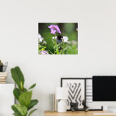 Schmetterling aus schwarzem Frack Poster (Heimbüro)