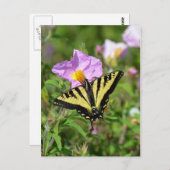 Schmetterling aus schwarzem Frack Postkarte (Vorne/Hinten)