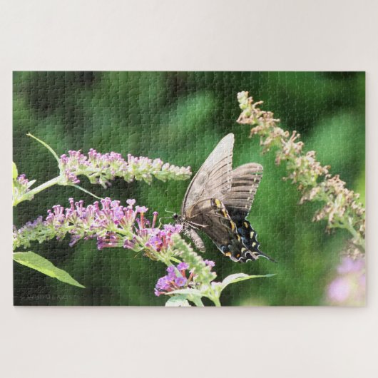 Schmetterling aus schwarzem Frack Puzzle (Horizontal)