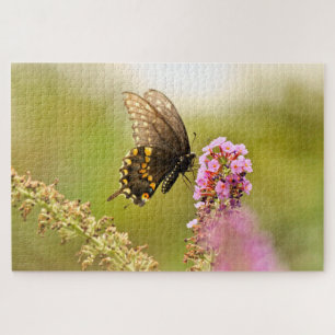 Schmetterling aus schwarzem Frack Puzzle