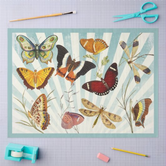 Schmetterling ausgeschnitten und Gewebespapier zus Seidenpapier (Basteln)