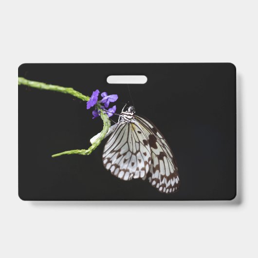 Schmetterling Ausweis (Vorderseite)