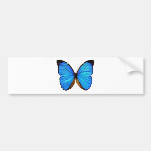 Schmetterling Autoaufkleber