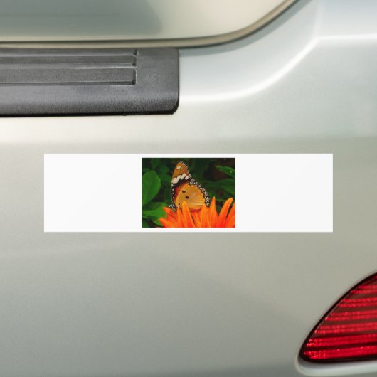 Schmetterling Autoaufkleber (Auf Auto)