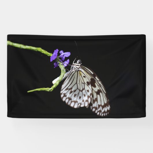 Schmetterling Banner (Horizontal)