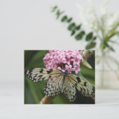Schmetterling-Blume 2 Postkarte (Stehend Vorderseite)