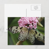 Schmetterling-Blume 2 Postkarte (Vorne/Hinten)