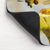 Schmetterling, Blume, Natur Mousepad (Ecke)