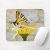 Schmetterling, Blume, Natur Mousepad (Mit Mouse)