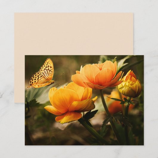 Schmetterling-Blume Postkarte (Vorne/Hinten)