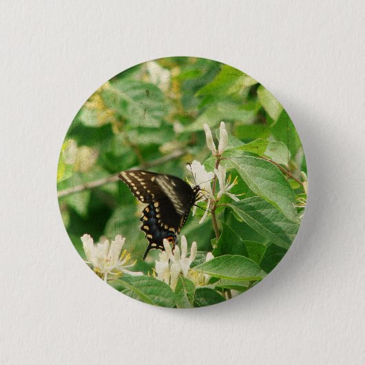 Schmetterling Button (Vorderseite)
